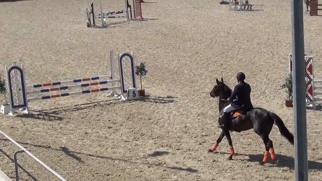 Соревнование по конкуру Евгений на Прибое КСК Конкорд (до 80см) ракурс №2. смотреть онлайн