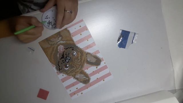 Алмазная вышивка для чего она нужна? Что это вообще такое? смотреть онлайн