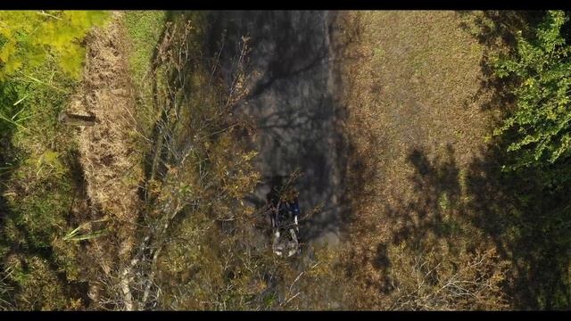 EV Rider Vita Monster Mobility Scooter смотреть онлайн