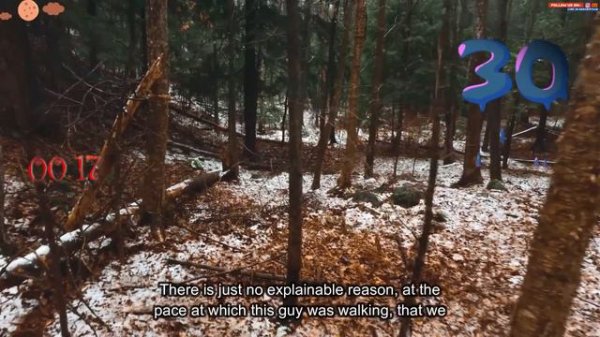 Hikers, campers. tell us what has been your scariest experience in the dark woods and forests?