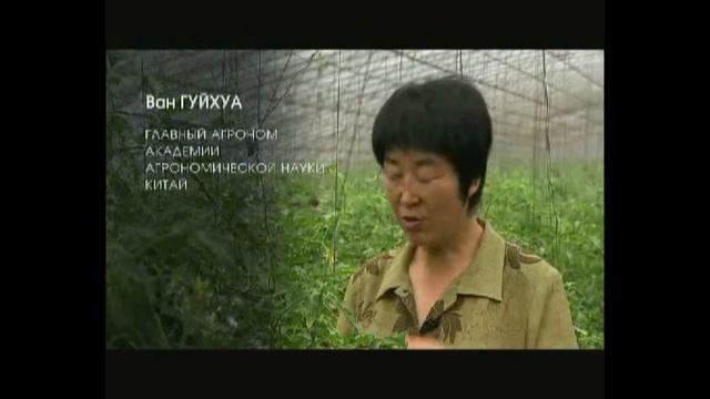 Влияние структурированной воды на растения смотреть онлайн