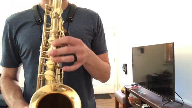 Gold Plated Selmer Modele 22 Alto Saxophone смотреть онлайн