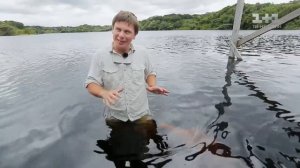 Пресноводные дельфины и традиционное блюдо из бананов. Бразилия. Мир наизнанку 10 сезон 34 выпуск