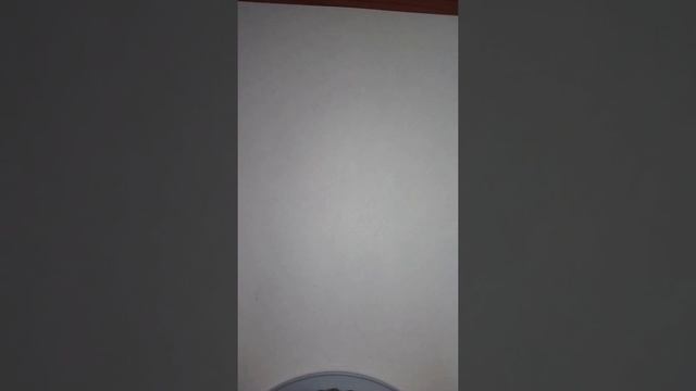 ЧТО Я ПОДАРЮ СЕСТРЕ НА ДЕНЬ РОЖДЕНИЯ ???❤ смотреть онлайн