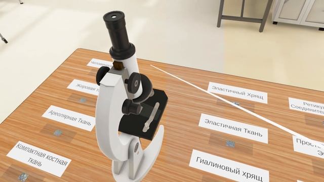 Виртуальная лаборатория по Биологии VR смотреть онлайн