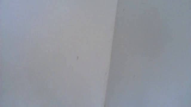 Природа, just Opiliones (просто Сенокосец "Косикосарина") смотреть онлайн