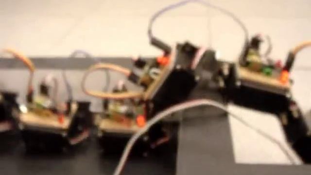 biomorph snake robot: emergent behaviour смотреть онлайн