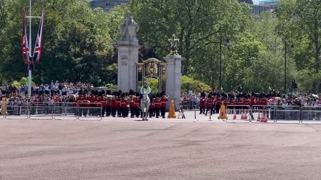 Alert King’s Guard Quickly Spots A Security Risk смотреть онлайн