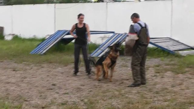 Феникс из Дома Алленс 2 (семинар по защите с А. Журбиным, 04.08.14) смотреть онлайн