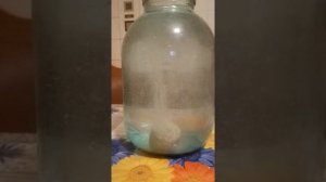 донный зимний планктон для ловли мирной рыбы