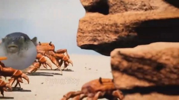 Смешной мем про Рыбу Фугу