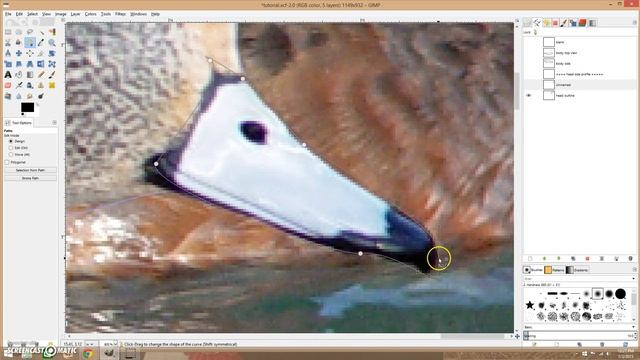 Using Gimp to create decoy patterns : Part 5 - Head Side Profile смотреть онлайн