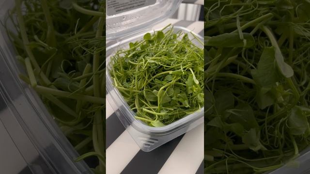 PHO GA смотреть онлайн