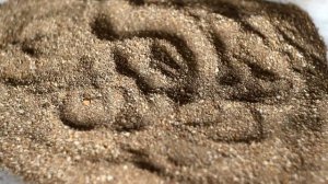 Ракушка кормовая для индюшат,цыплят,утят,перепелов.