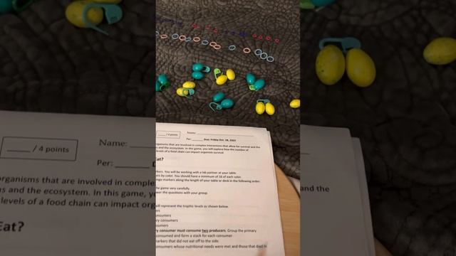 Food Chain Game Part 1 смотреть онлайн
