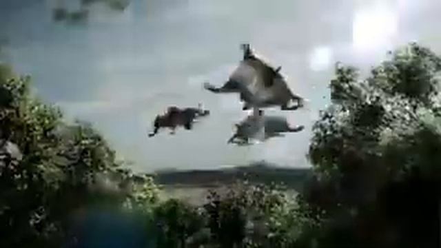 Guinness  Эволюция наоборот