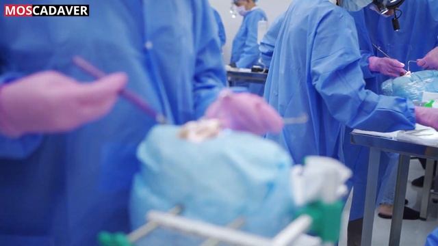 Обучение "Ринопластика и септопластика" - кадавер мастер-класс для лор-врачей Русецкого Ю.Ю. смотреть онлайн