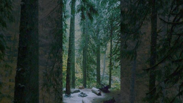 4K Snowfall In A Mysterious Forest For Vertical Screens - 3 HRS White Noise For Sleep