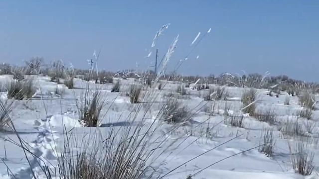 Охота на Волков смотреть онлайн