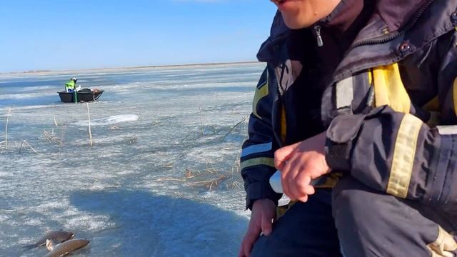 Ловля Карася со льда, на летнюю удочку. Лед рассыпается под ногами. Закрываем зимний сезон. смотреть онлайн
