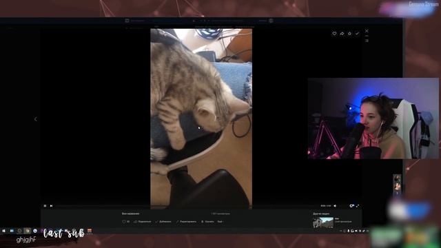ГЕНСУХА СМОТРИТ СВОИ СТАРЫЕ ВИДОСЫ В ВК | ВЕБМЫ ВК | УГАРНАЯ НАРЕЗКА | Gensyxa Stream смотреть онлайн