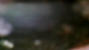 Игра(Тоска развеется, забудется печаль и слезы высохнут, и расцветут улыбки.Удача вспомнит(наброски