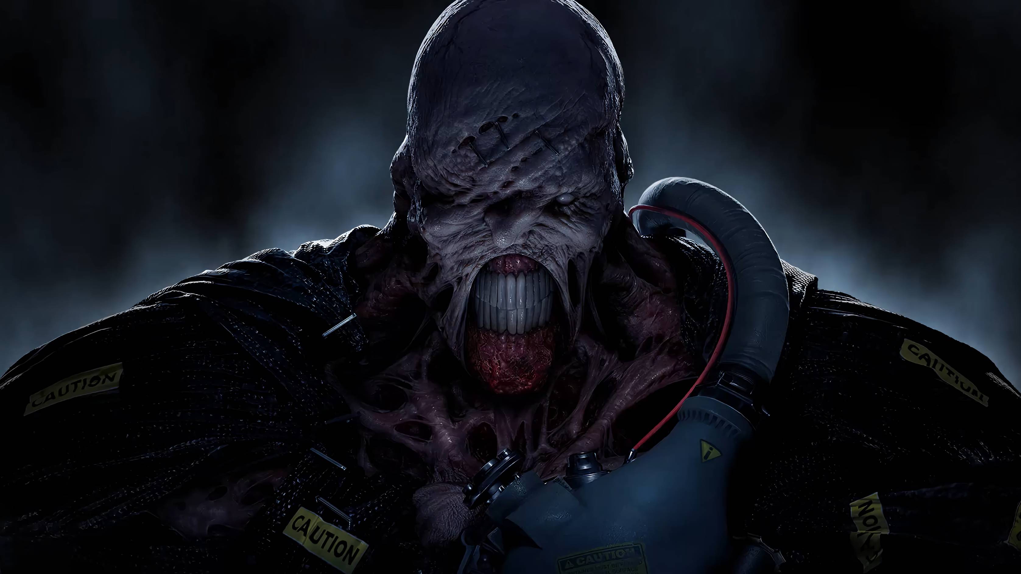 DayZ RaccoonCity/PVE