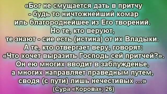 СТРОЕНИЕ КОМАРОВ смотреть онлайн