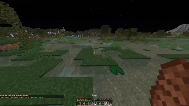 Dream Minecraft Block Shuffle Live смотреть онлайн