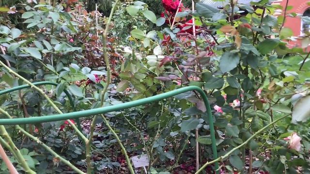 СтройКонструктор