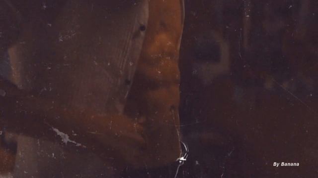 обратная сторона балета [tiny pretty things] смотреть онлайн