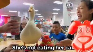 Утка-невеста готовится к свадьбе. Желейный Стасик