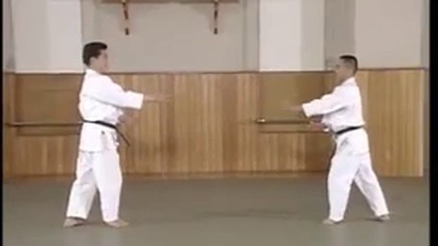 ryote mochi shiho nage 2 смотреть онлайн