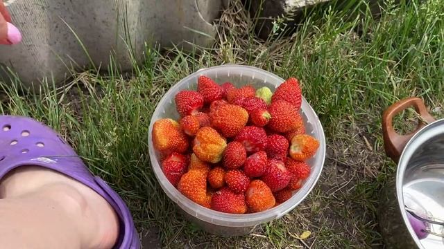 VLOG: СОБИРАЮ КЛУБНИКУ/ПРИЕХАЛИ РОДИТЕЛИ/СТРОИМ ЛЕТНИЙ ДУШ