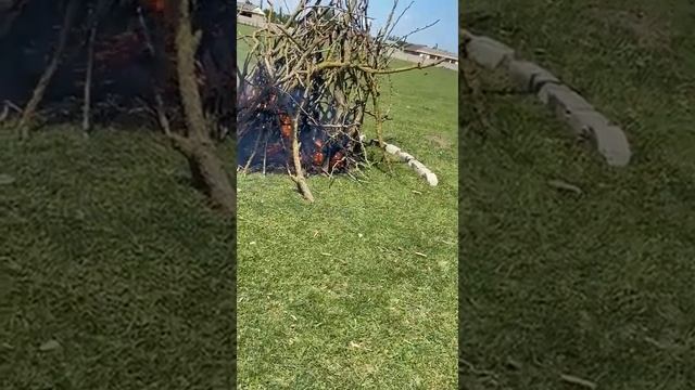 100-летие пионерской организации смотреть онлайн