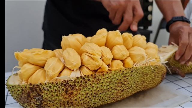Cempedak Fruit. Better than a Jackfruit! смотреть онлайн
