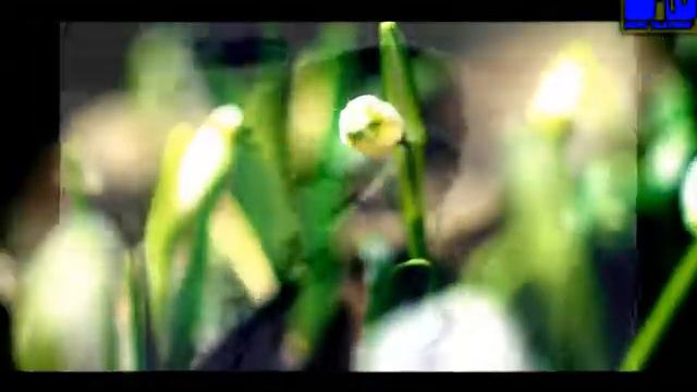 Хакер смотреть онлайн