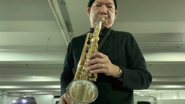 Yanagisawa AW033 Silversonic Alto: Call (858) 568 5443 смотреть онлайн