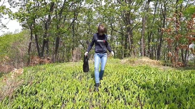 Эмоциональные графические вихри