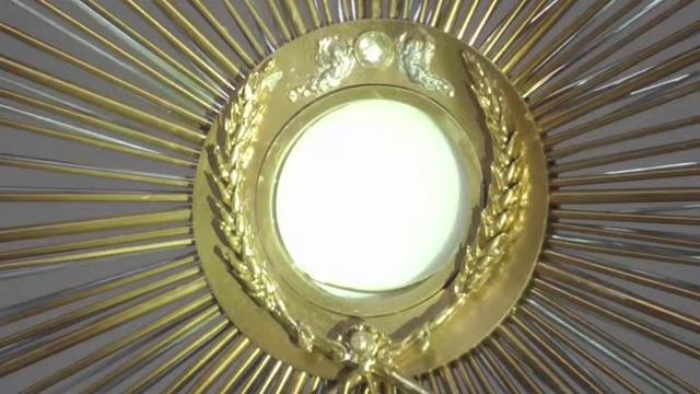 St Bernadette - Fr Doug's Mass Wed 7:30am 14 June 2023 смотреть онлайн