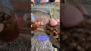 ёжик Боря# и ты подпишись на него