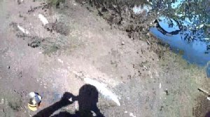 НЕРЕСТОВЫЙ ЗАПРЕТ !