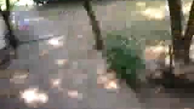 20 июля 2016 г.