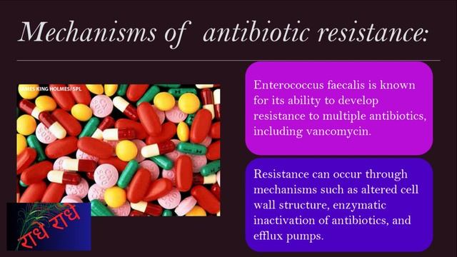 enterococcus microbiology lecture ||enterococcus faecalis ||Easy Microbiology смотреть онлайн