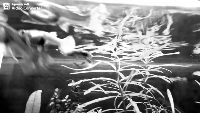 Marina 54 litre - 2019.10.24 - смотреть онлайн