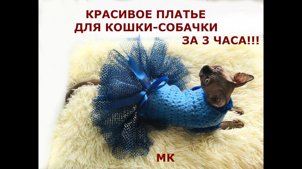 КРАСИВАЯ ОБНОВКА ДЛЯ КОШКИ ИЛИ СОБАЧКИ! БЫСТРО И ПРОСТО!МАСТЕР КЛАСС смотреть онлайн