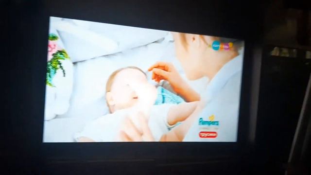 Зебра В клеточку