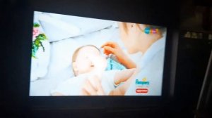 Зебра В клеточку