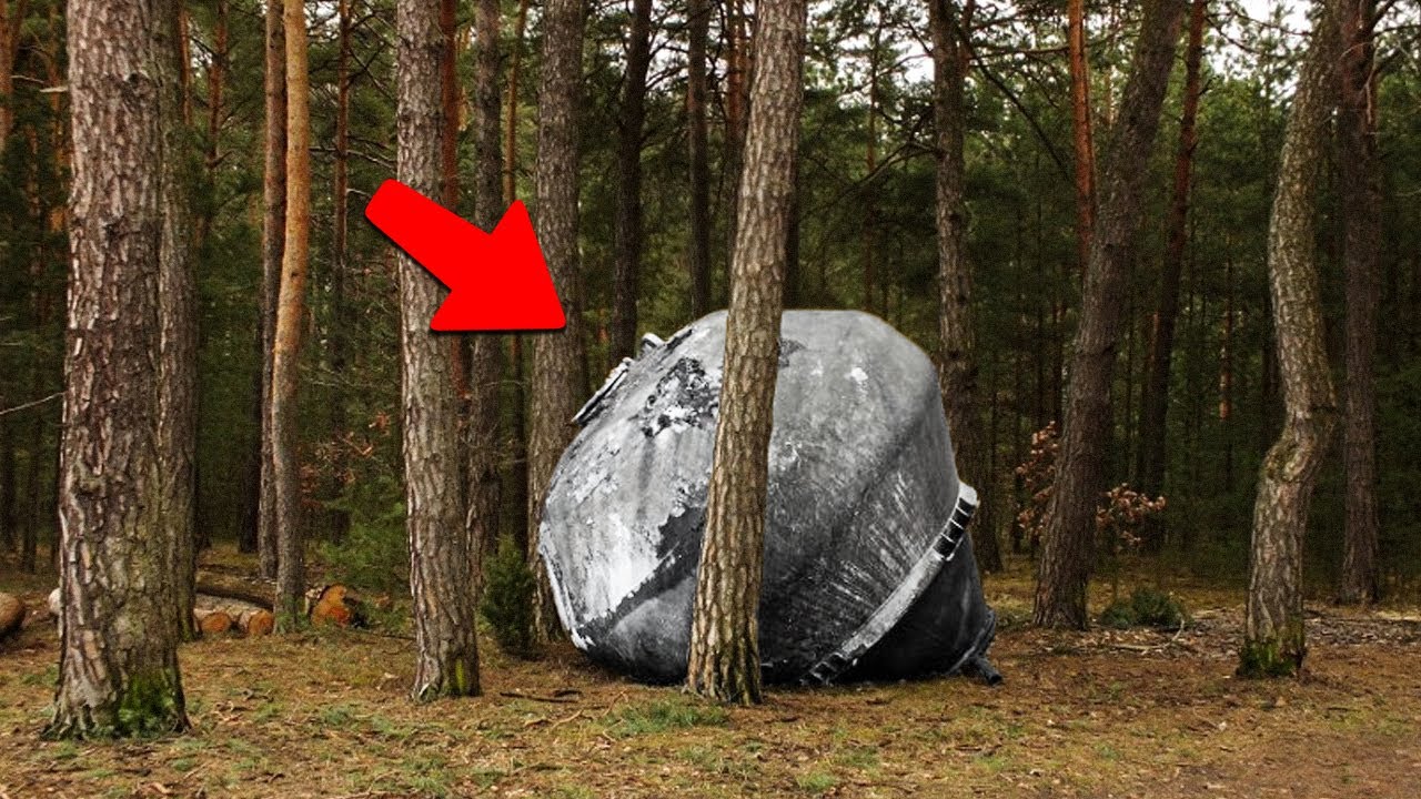 То, Что Они Обнаружили В Лесу Лишило Их Дара Речи смотреть онлайн