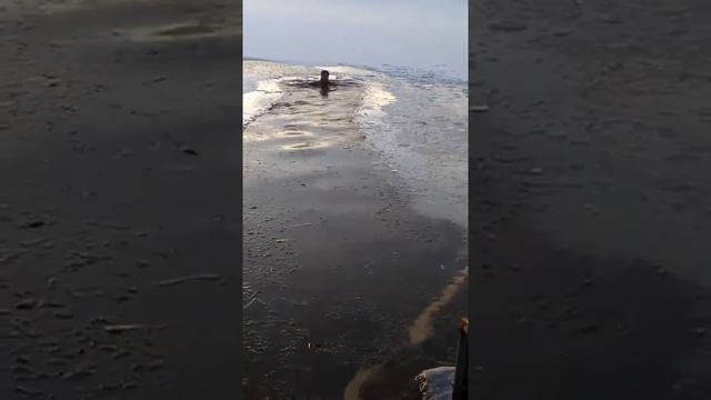 Купание в проруби смотреть онлайн